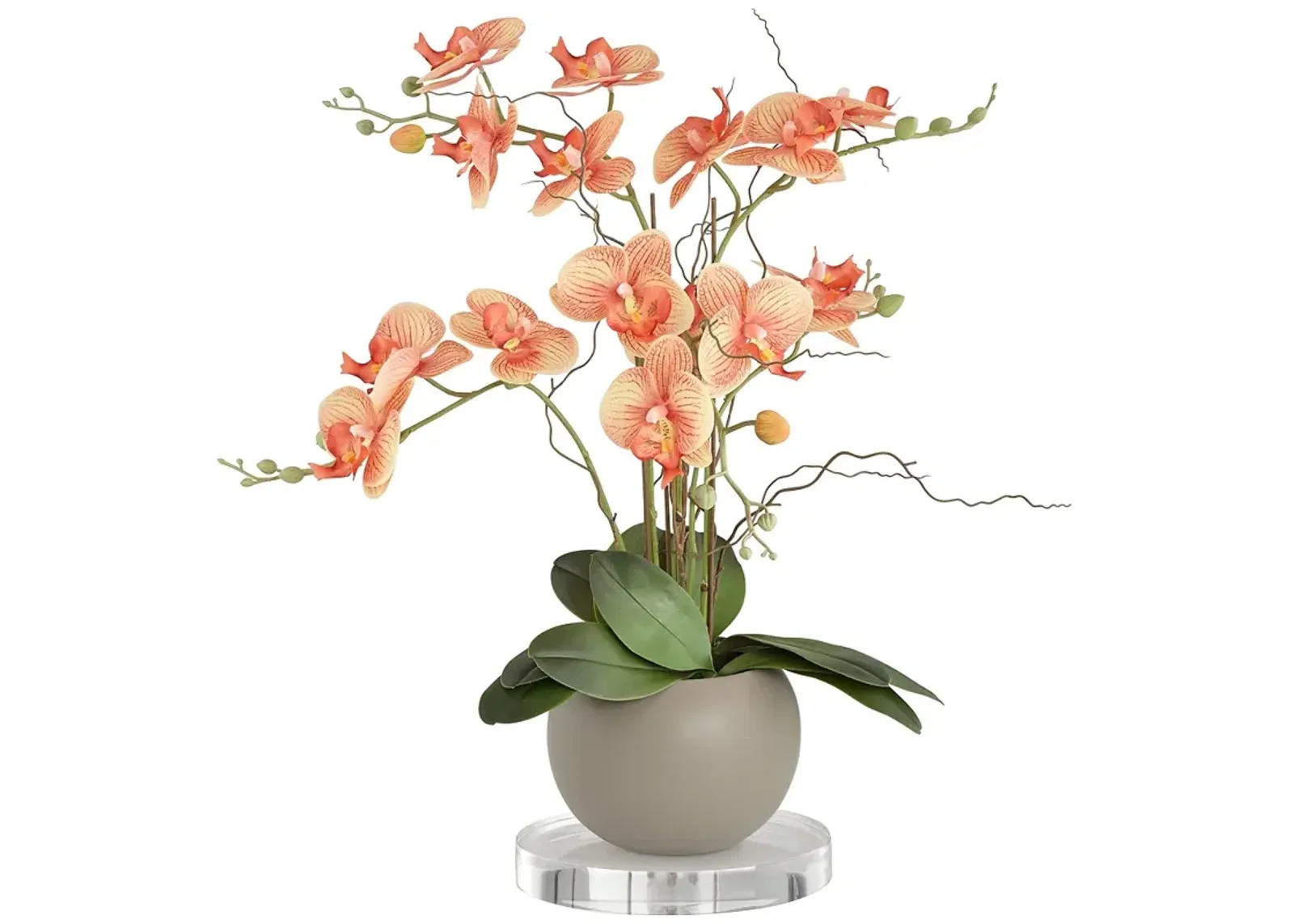 Orange Orchid 22 1/2"H Faux Floral With 7" Round Acrylic Riser