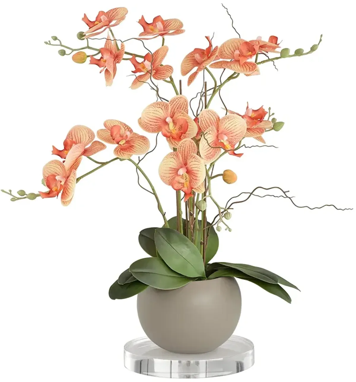 Orange Orchid 22 1/2"H Faux Floral With 7" Round Acrylic Riser