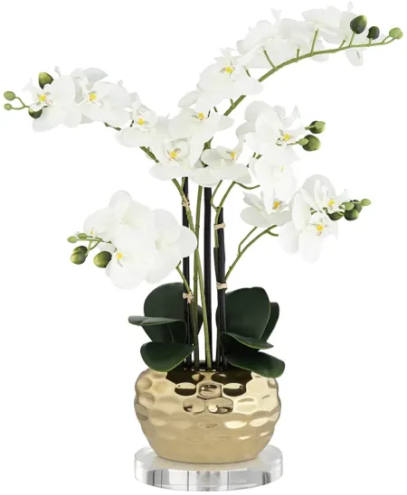 White 23"H Gold Faux Orchid With 7" Acrylic Riser