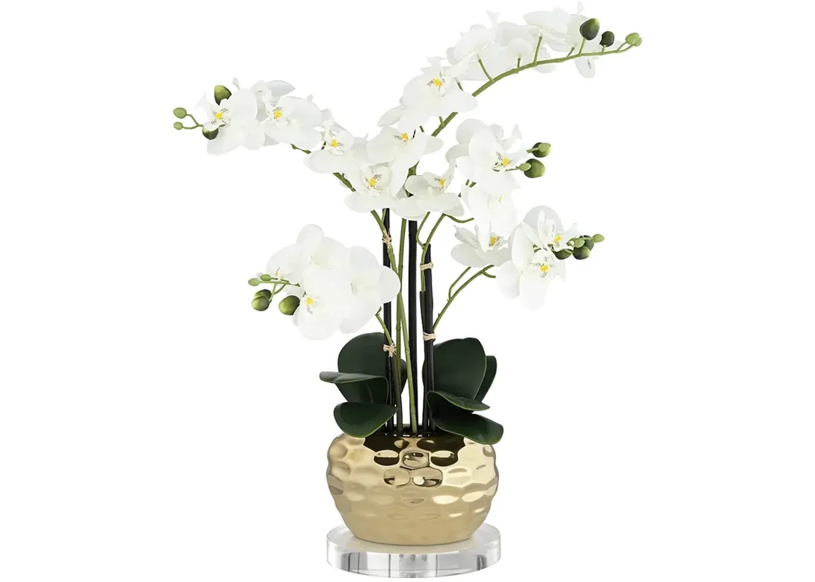 White 23"H Gold Faux Orchid With 7" Acrylic Riser