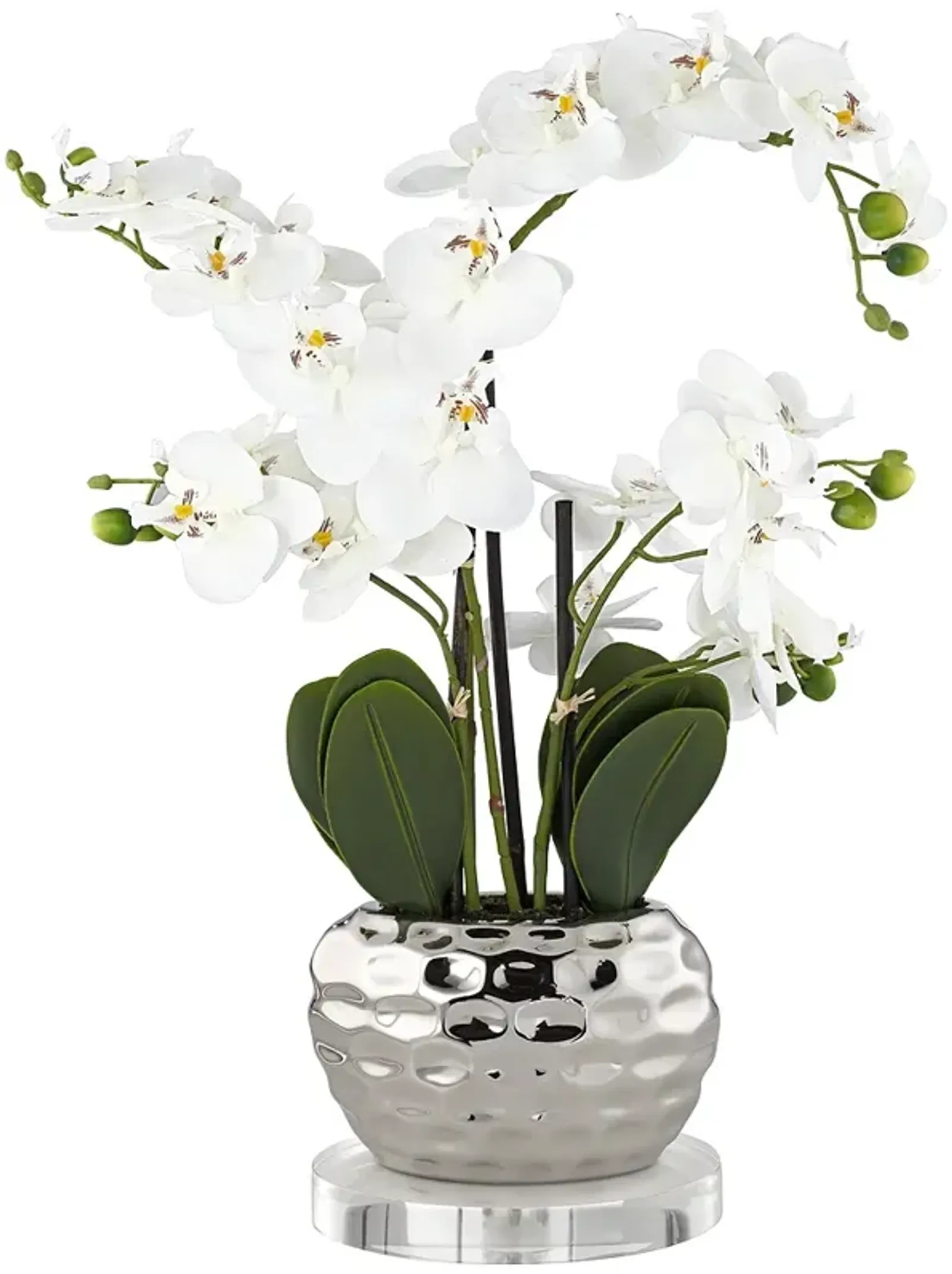 White Phalaenopsis 23"H Faux Orchid With 7" Round Acrylic Riser