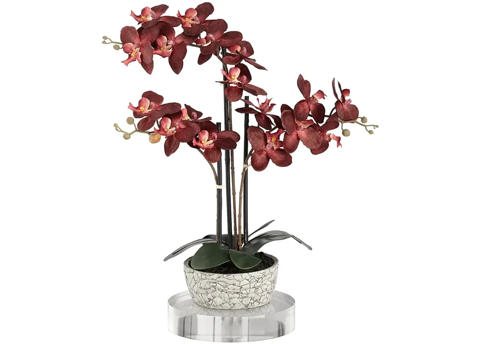 Red Orchid 24"H Faux Flower With 8" Round Acrylic Riser