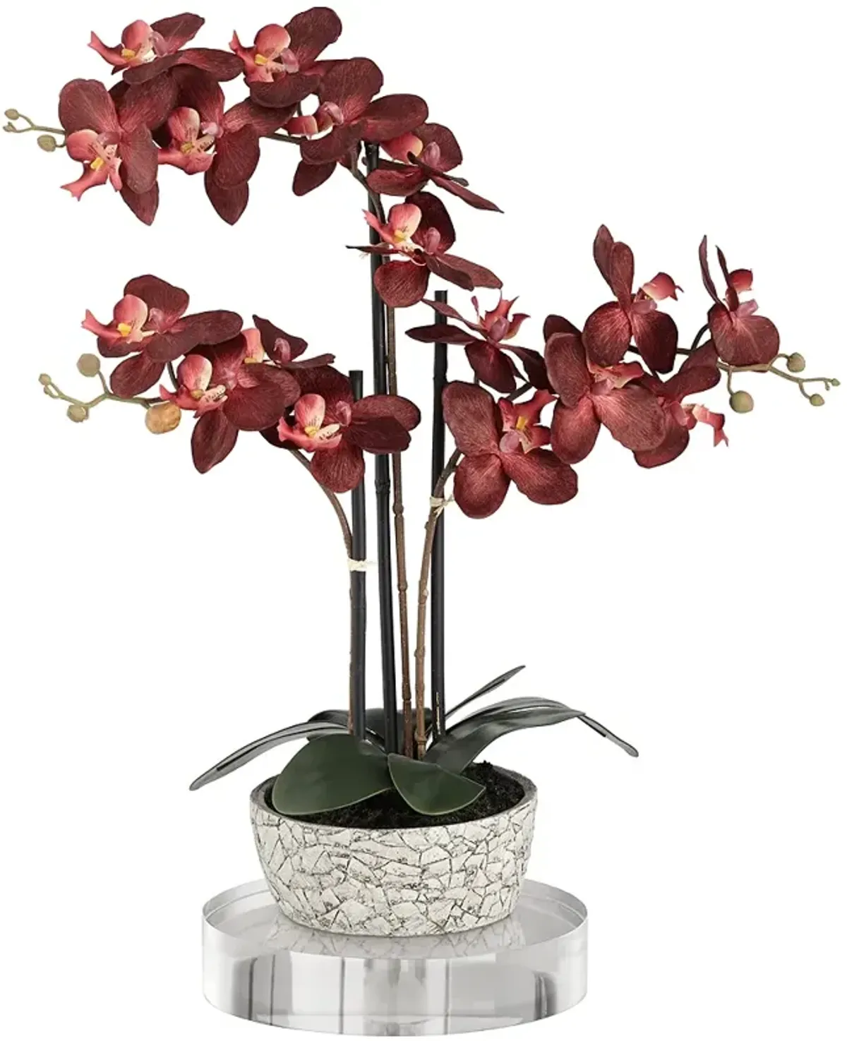 Red Orchid 24"H Faux Flower With 8" Round Acrylic Riser