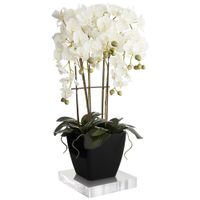Large White Faux Orchid With 8" Square Acrylic Riser