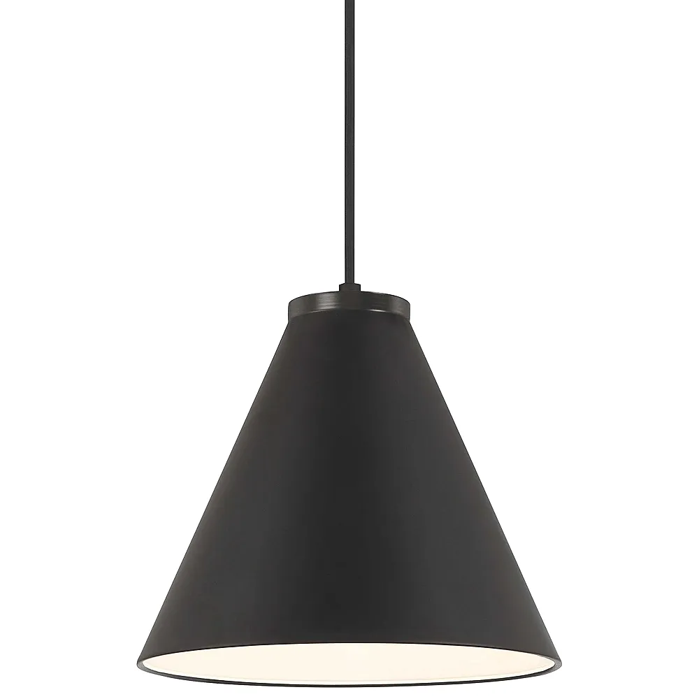 Vantage  1-Light Black Pendant with Black Metal Shade