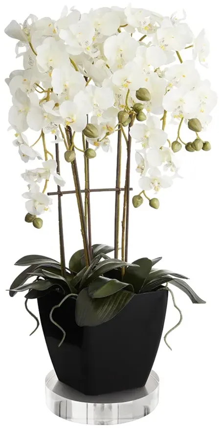 Large White Faux Orchid With 8" Round Acrylic Riser