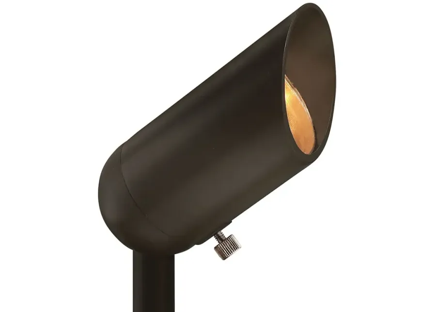 Allen 3 1/4"H Bronze 5W 3000K LED Landscape Accent Spotlight