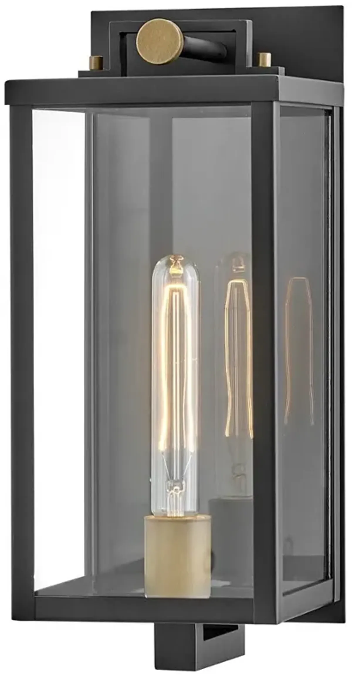 Hinkley Catalina 16" High Black and Clear Glass Outdoor Wall Light