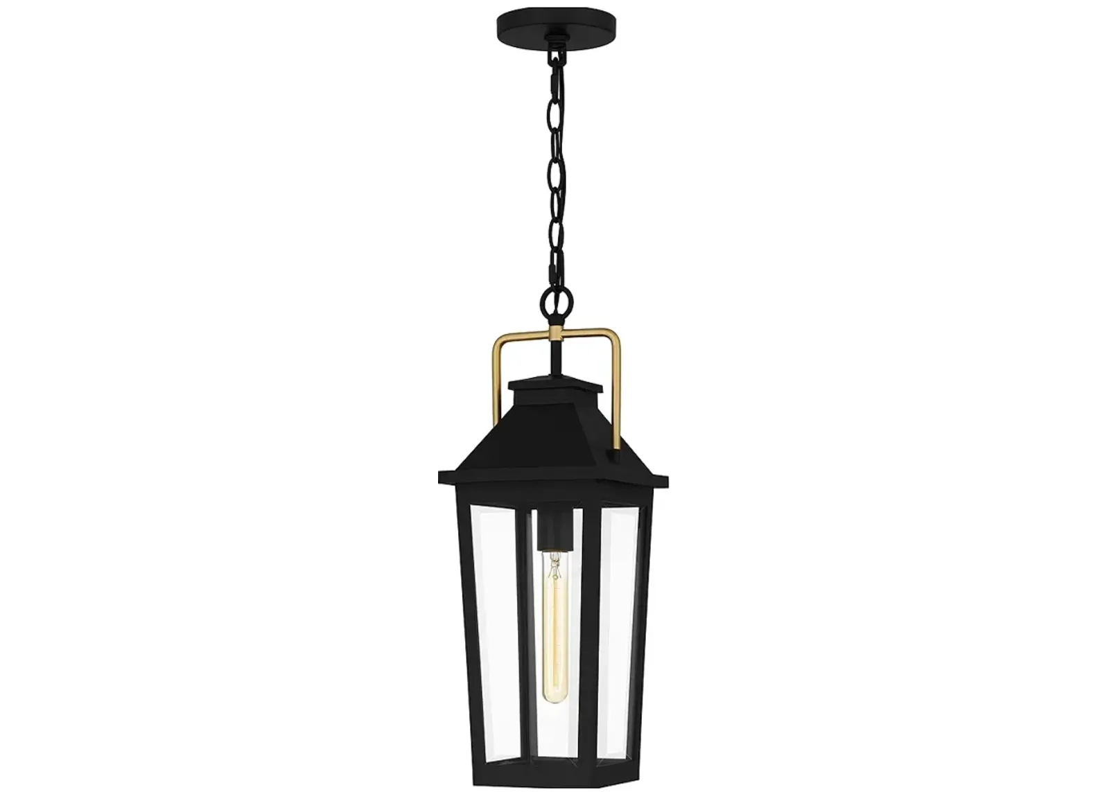 Buckley 1-Light Matte Black Outdoor Hanging Lantern