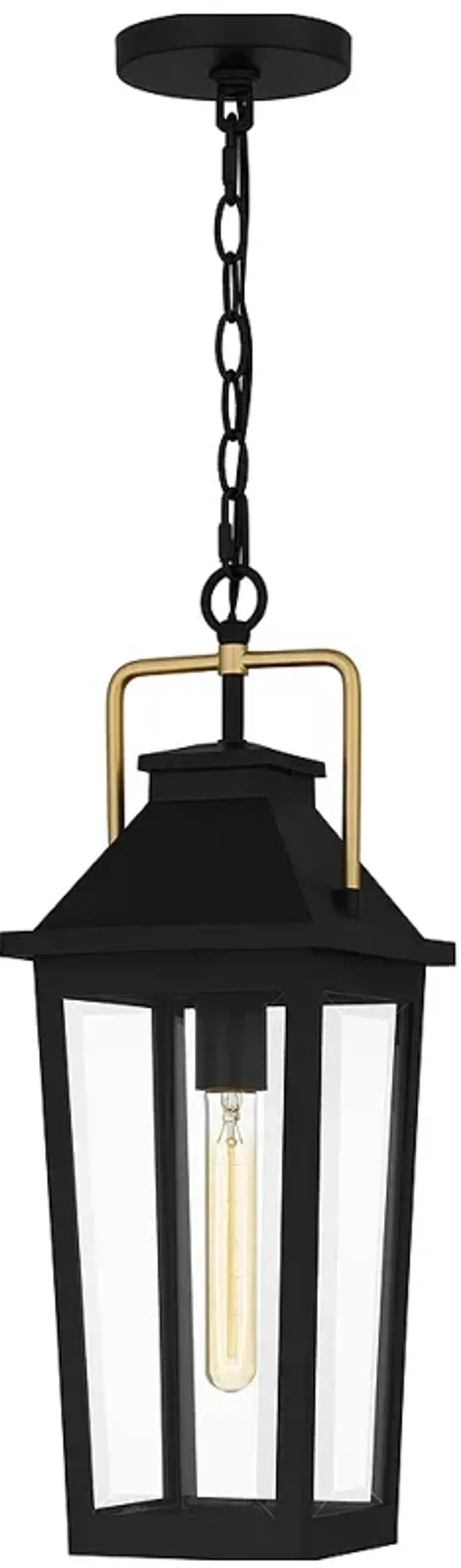 Buckley 1-Light Matte Black Outdoor Hanging Lantern