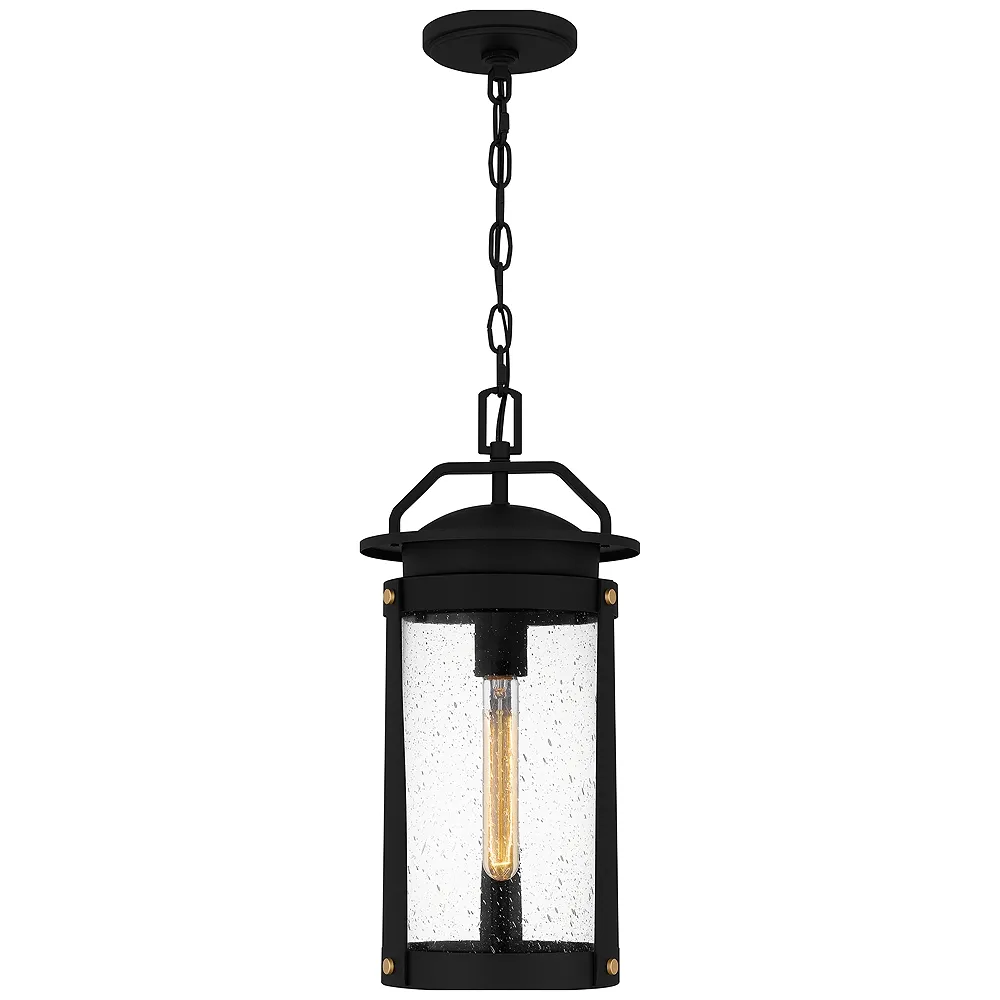 Clifton 1-Light Earth Black Outdoor Hanging Lantern