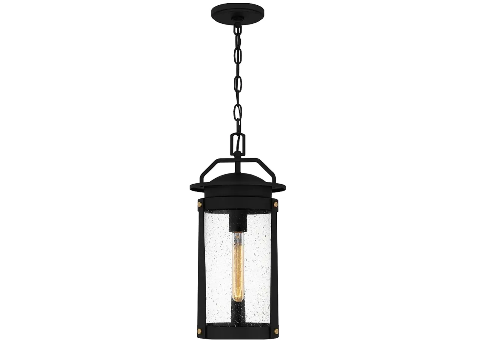 Clifton 1-Light Earth Black Outdoor Hanging Lantern