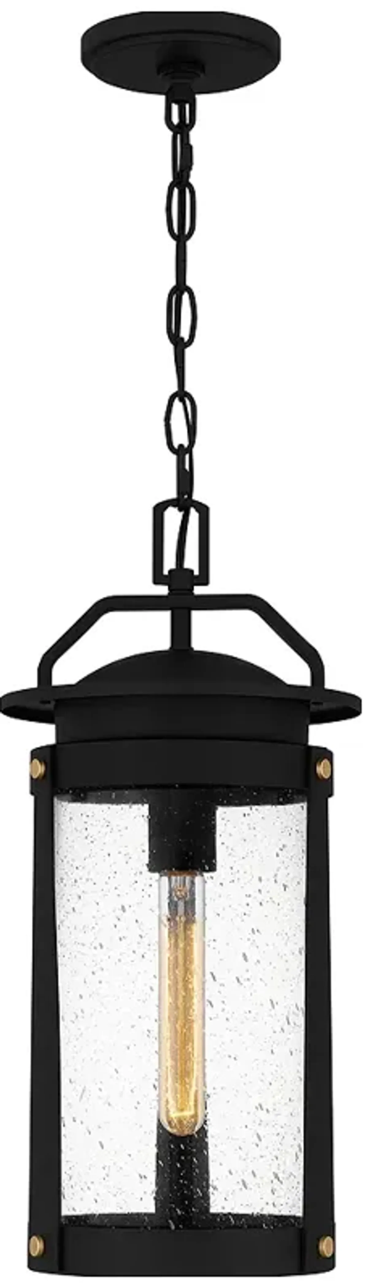 Clifton 1-Light Earth Black Outdoor Hanging Lantern