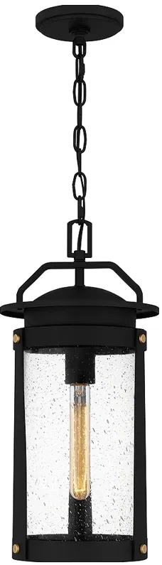 Clifton 1-Light Earth Black Outdoor Hanging Lantern