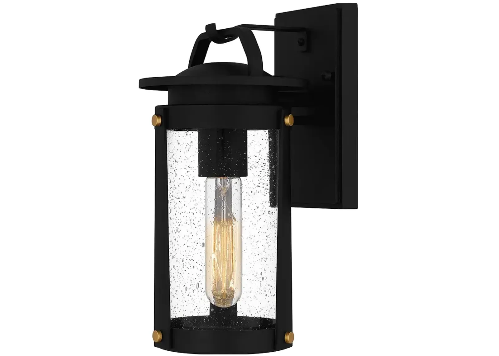 Clifton 1-Light Earth Black Outdoor Wall Lantern