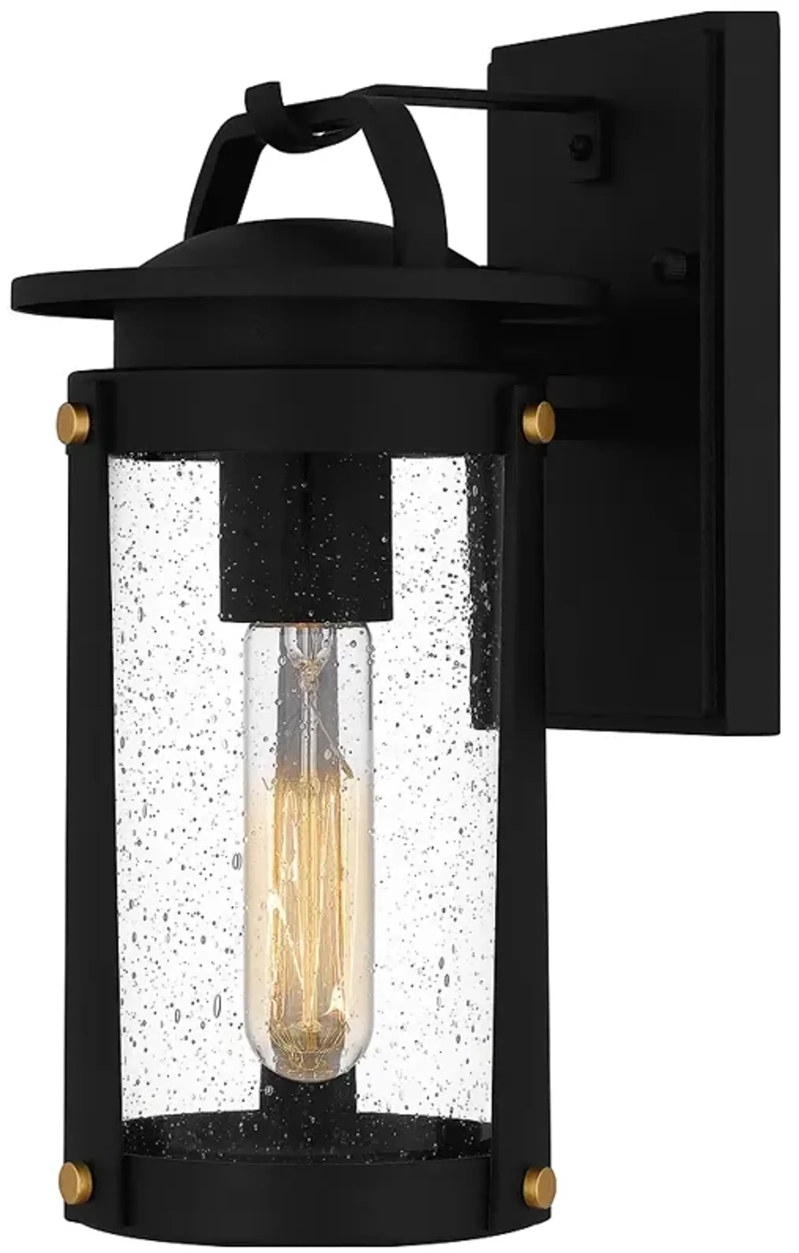 Clifton 1-Light Earth Black Outdoor Wall Lantern