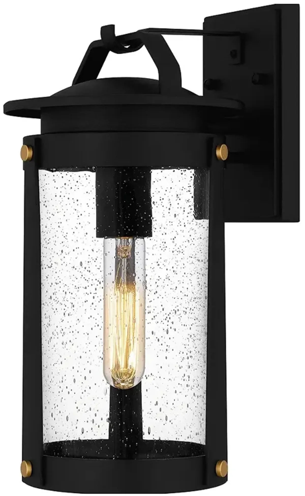 Clifton 1-Light Earth Black Outdoor Wall Lantern