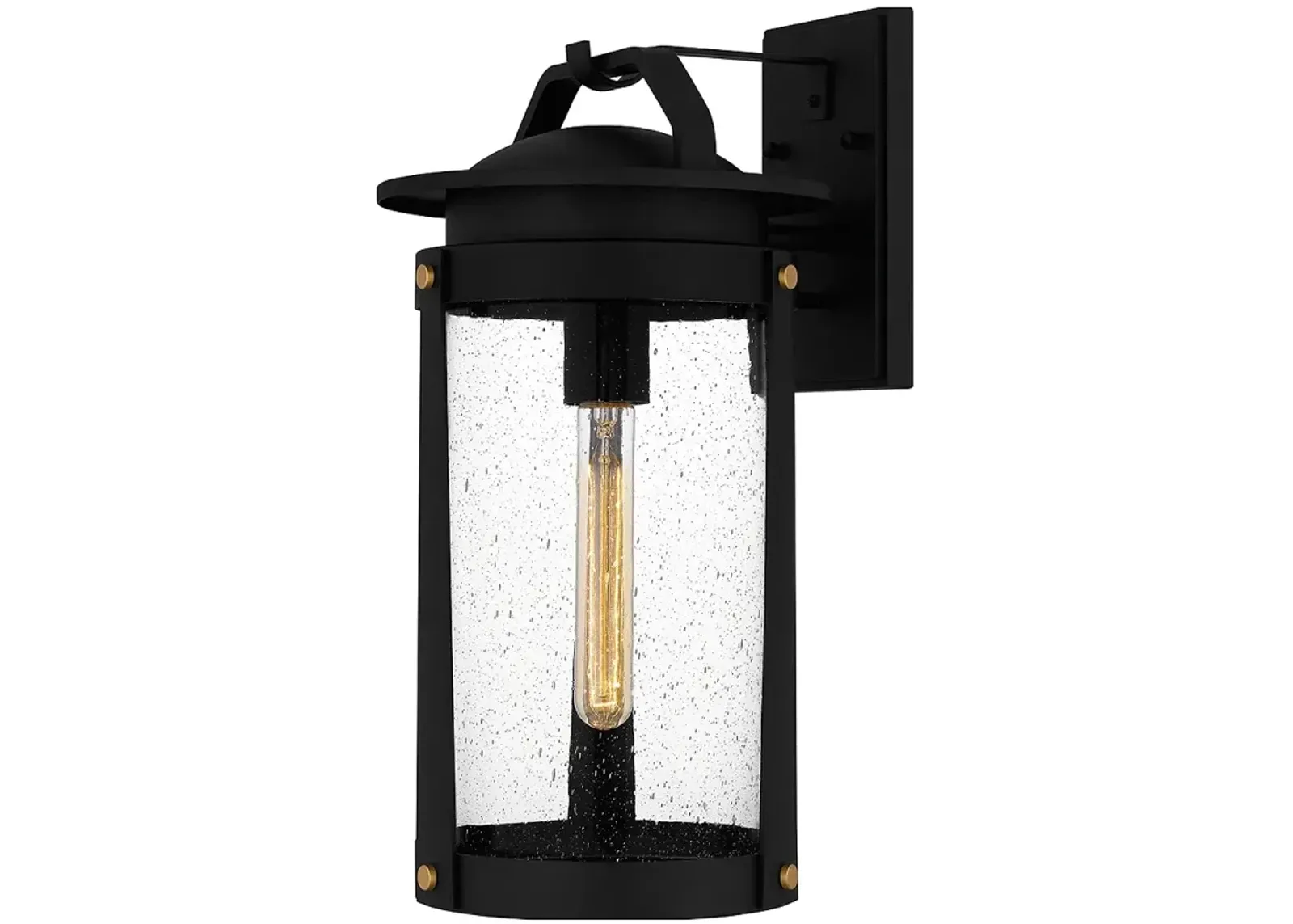 Clifton 1-Light Earth Black Outdoor Wall Lantern