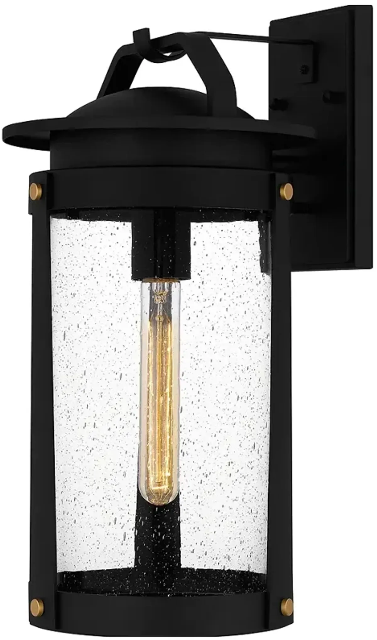 Clifton 1-Light Earth Black Outdoor Wall Lantern