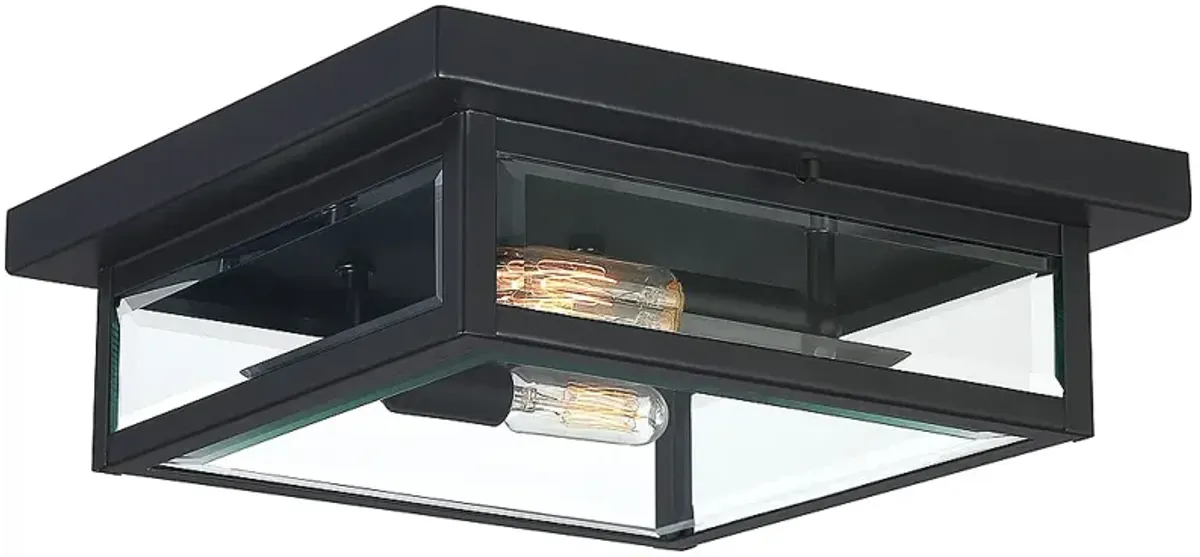 Quoizel Westover 12" Wide Earth Black Outdoor Ceiling Light