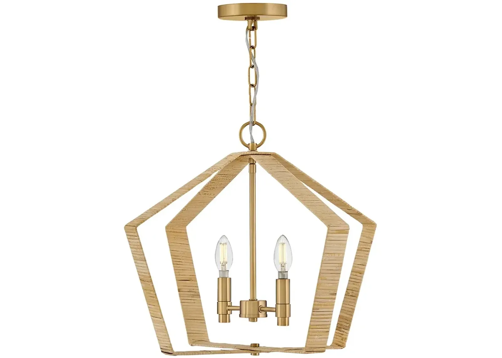 Lark Sammi Large Pendant Lacquered Brass