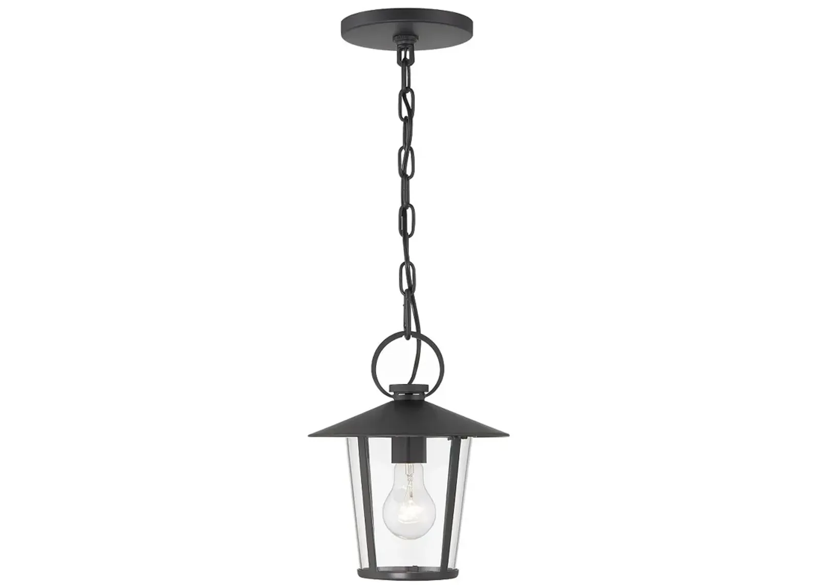 Andover 1 Light Matte Black Outdoor Chandelier