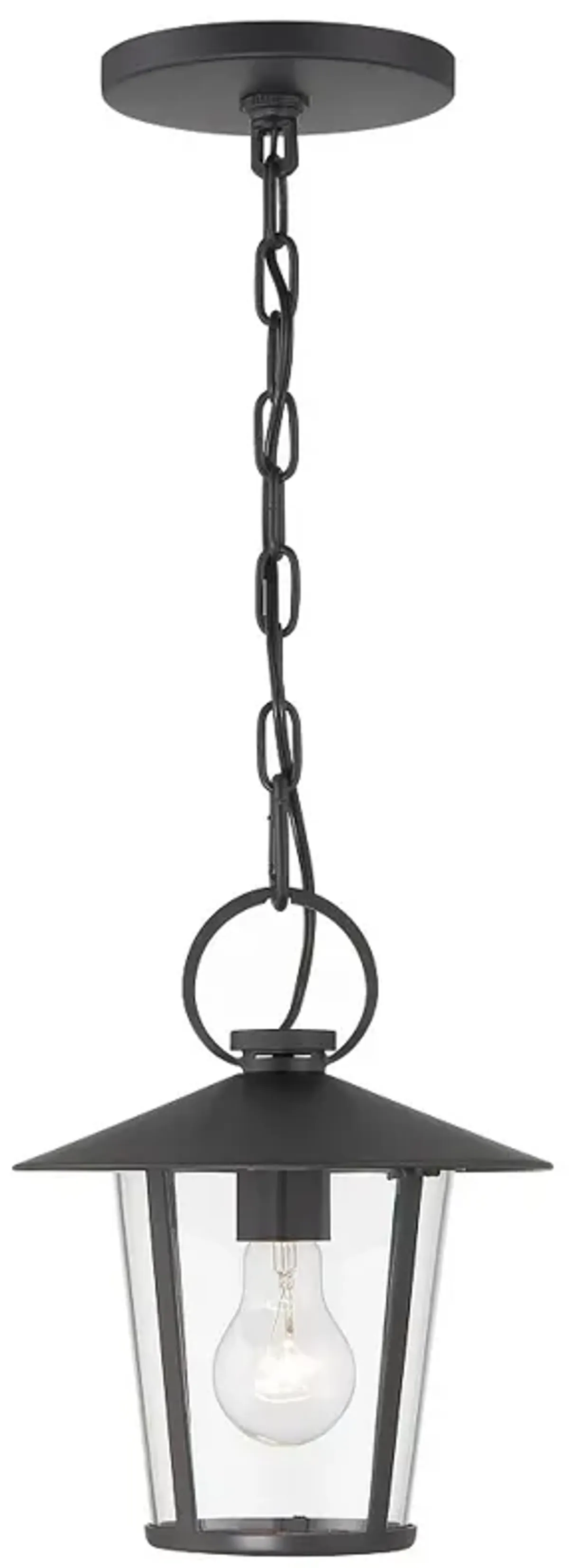 Andover 1 Light Matte Black Outdoor Chandelier