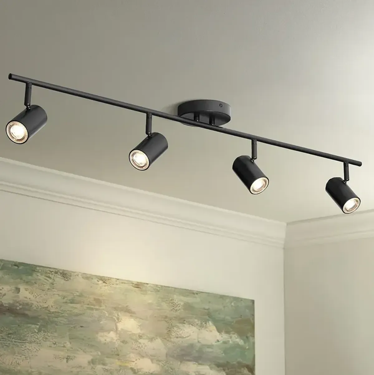 Pro Track Vester 4-Light Black LED Ceiling or Wall Track Fixture