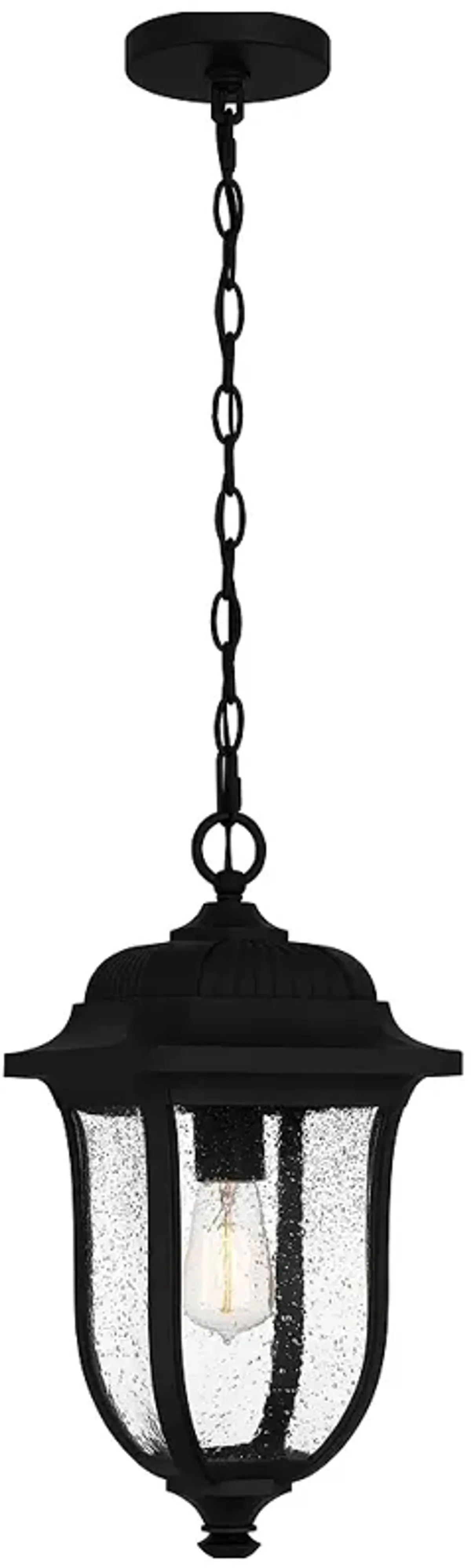 Mulberry 1-Light Matte Black Outdoor Hanging Lantern