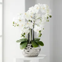 White Phalaenopsis 23" High Faux Orchid Flower in Silver Resin Pot