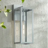 Titan 17" High Silver and Glass Outdoor Wall Light
