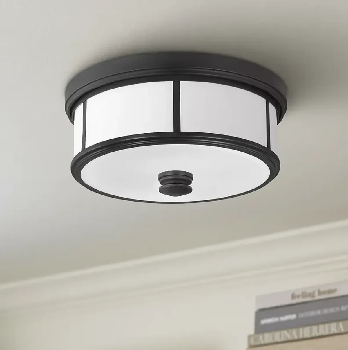 Minka Lavery Harbour Point 13 1/2" Wide Coal and White Ceiling Light