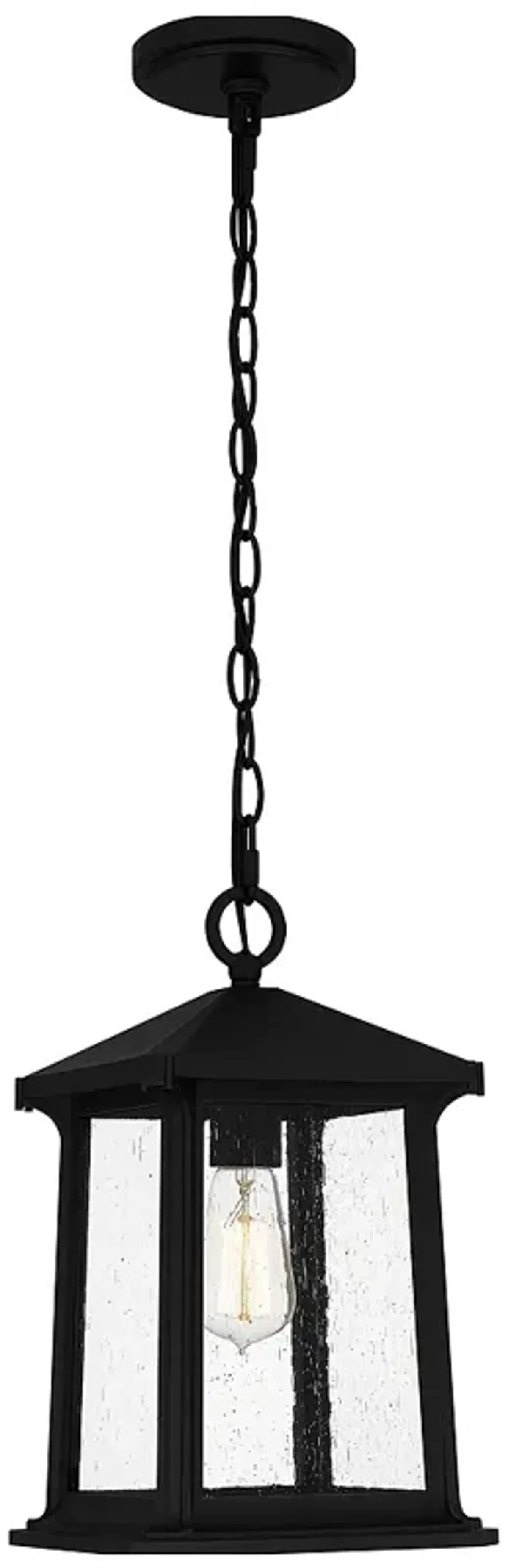 Satterfield 1-Light Matte Black Outdoor Hanging Lantern