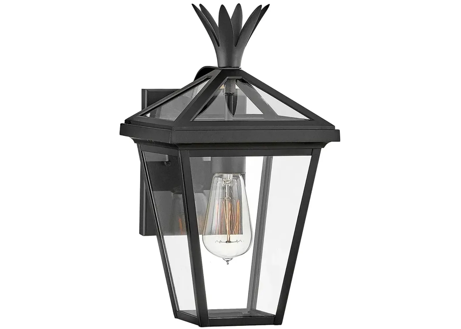 Hinkley Palma 14 1/2" High Black Outdoor Wall Light