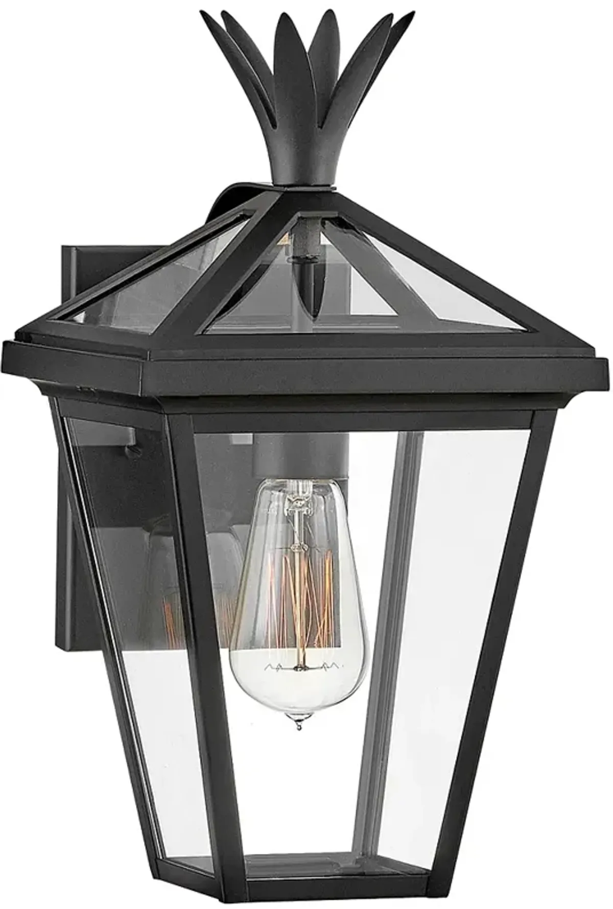 Hinkley Palma 14 1/2" High Black Outdoor Wall Light