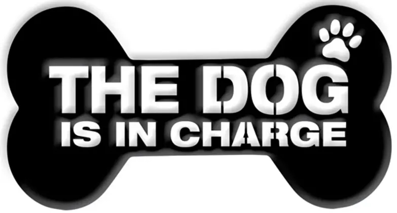 Stiffel The Dog Is in Charge 12"W Matte Black Metal Wall Art