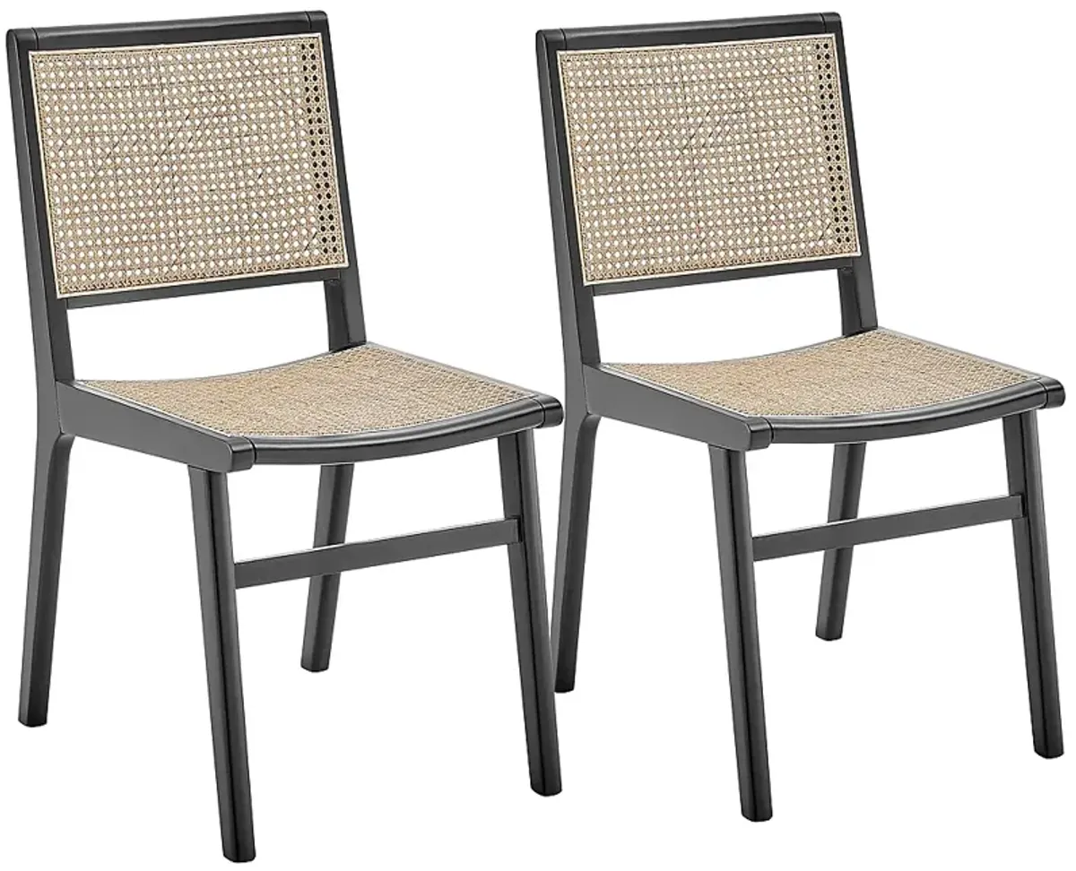 Joelle Natural Cane Black Wood Side Chairs Set of 2