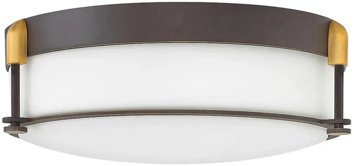 Hinkley Colbin 16 1/2" Wide Oil-Rubbed Bronze Ceiling Light