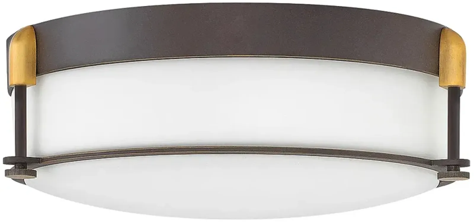 Hinkley Colbin 16 1/2" Wide Oil-Rubbed Bronze Ceiling Light