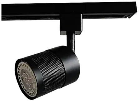 Clifford Black Mesh LED Track Head for Halo System