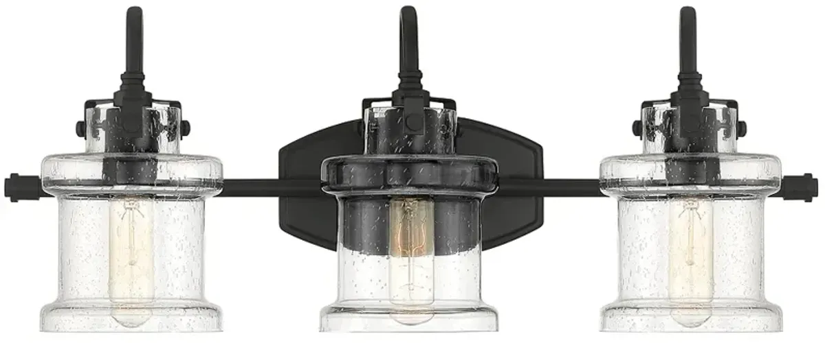 Quoizel Danbury 24" Wide Earth Black 3-Light Bath Light
