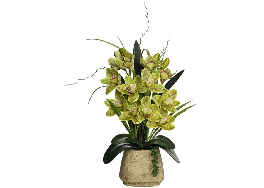 Green Cymbidium Orchid 21 1/2" High Faux Flowers in Pot