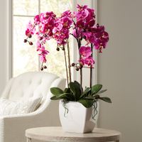 Potted White Ceramic 29" High Faux Fuchsia Orchid