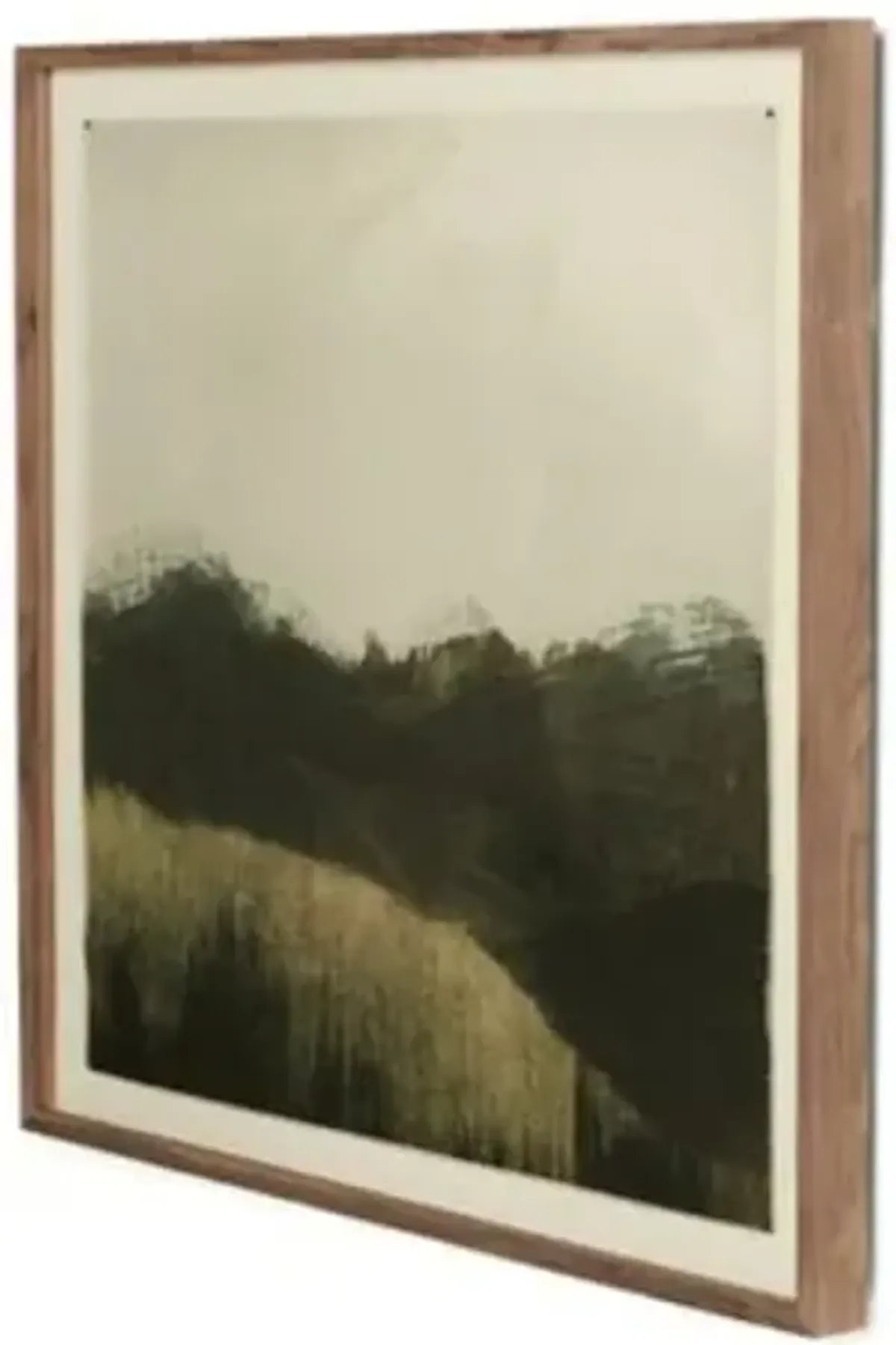 Amber Lewis x Four Hands Lands 2 Wall Art