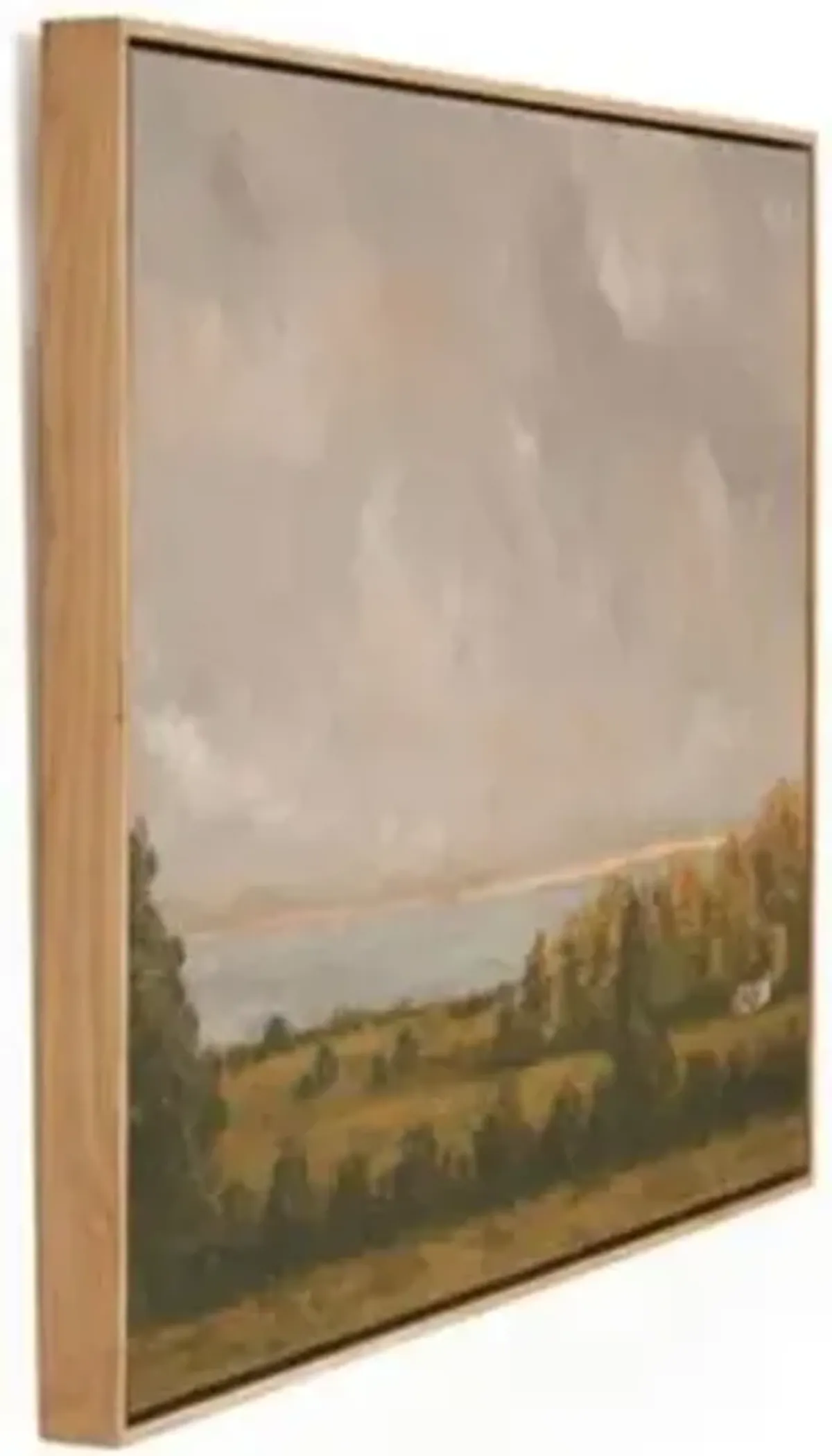 Amber Lewis x Four Hands Country Lake House Wall Art