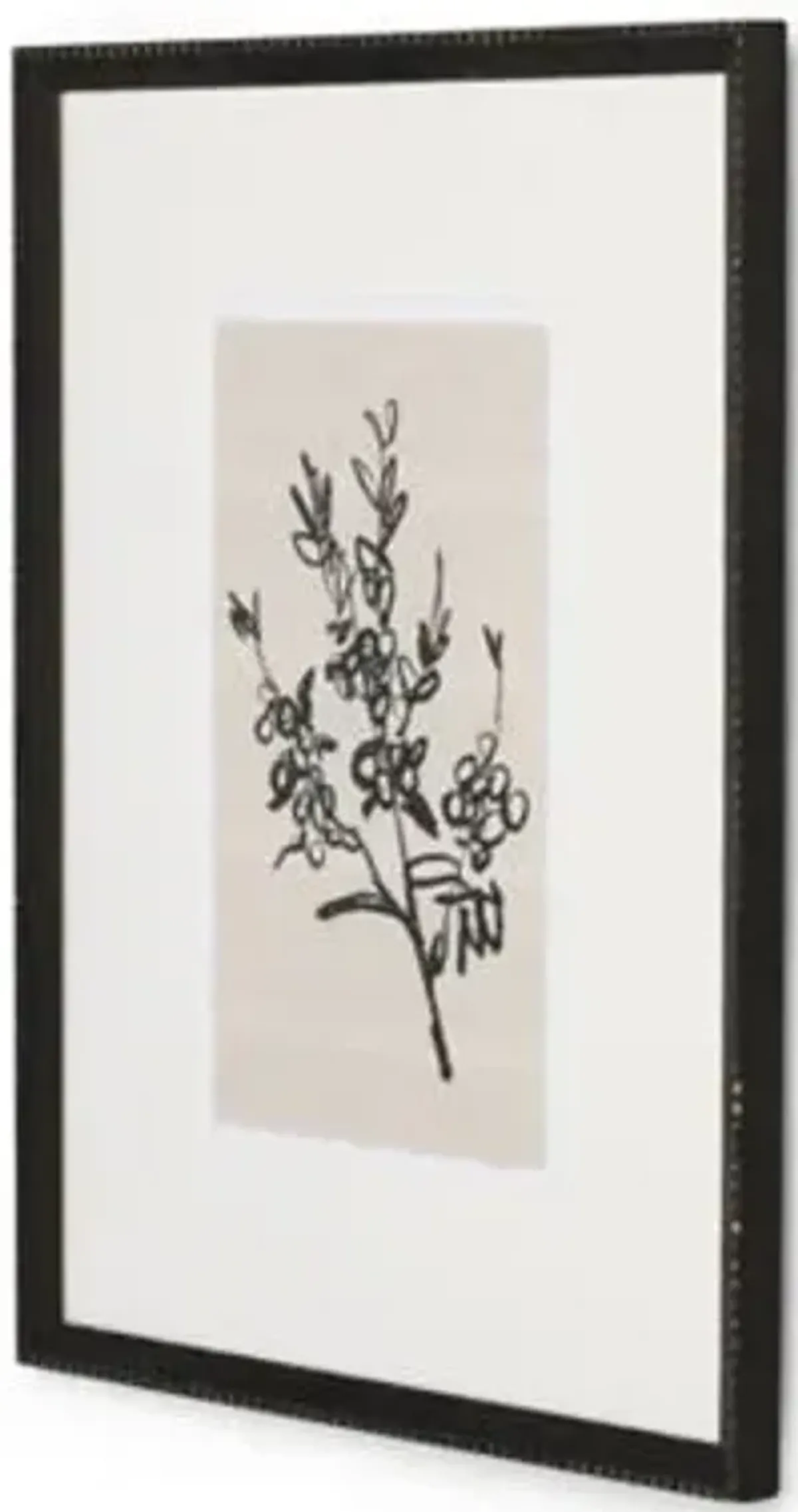 Amber Lewis x Four Hands Sprig I Wall Art