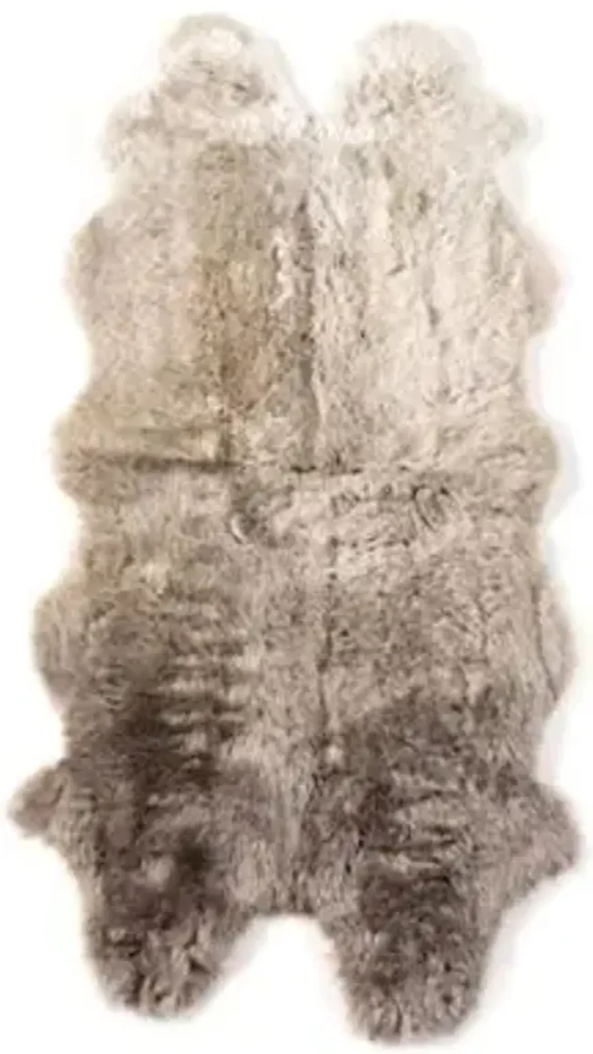 Lalo Ombre Area Rug