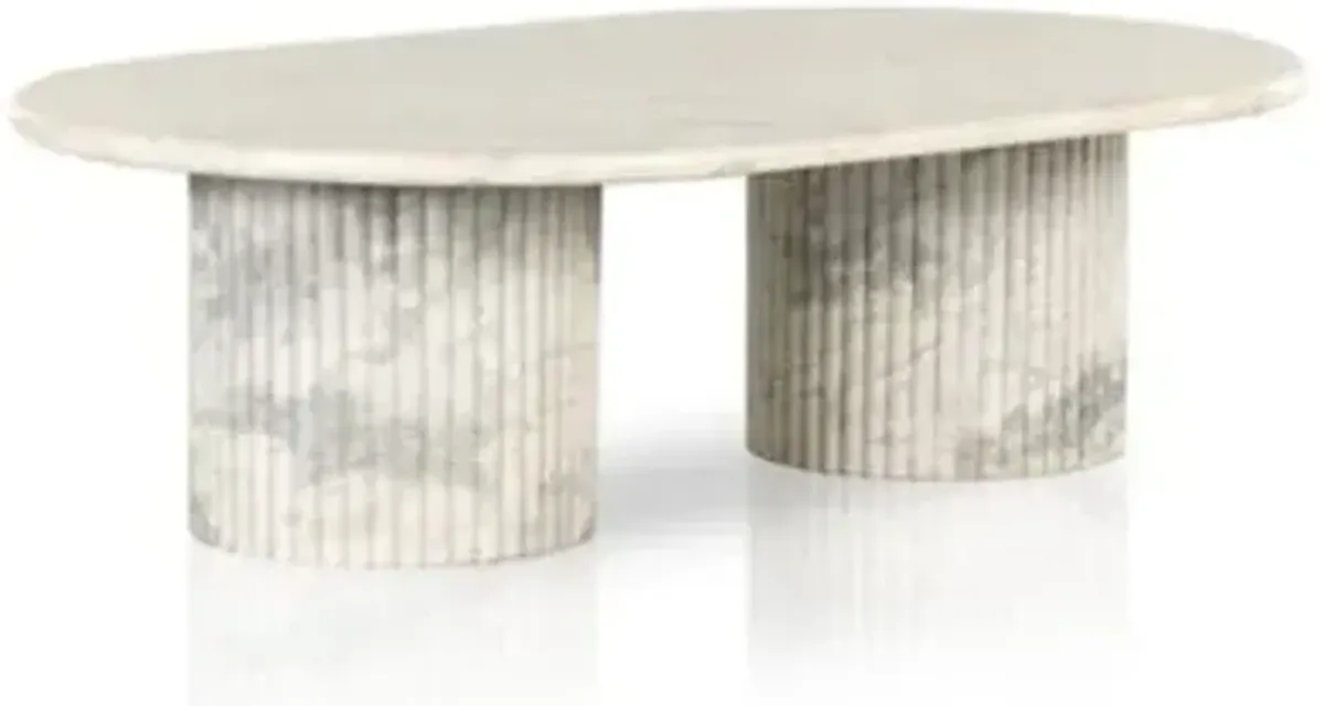 Oranda Coffee Table