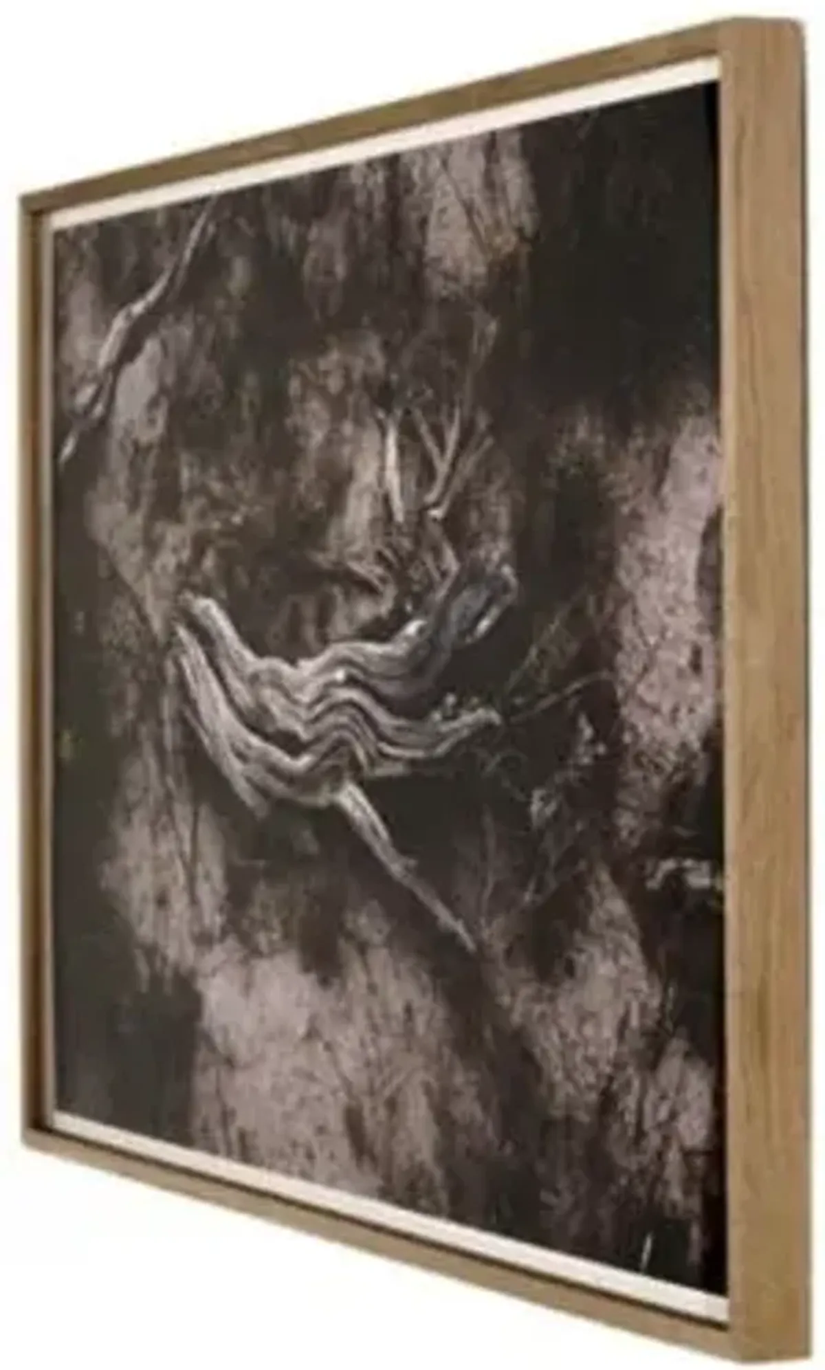 Amber Lewis x Four Hands Bough Wall Art