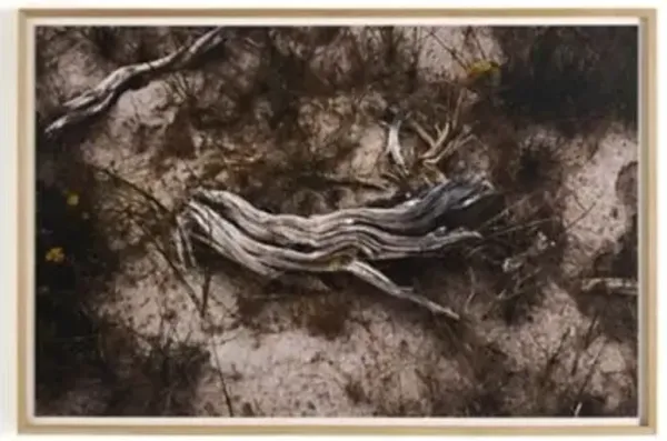 Amber Lewis x Four Hands Bough Wall Art